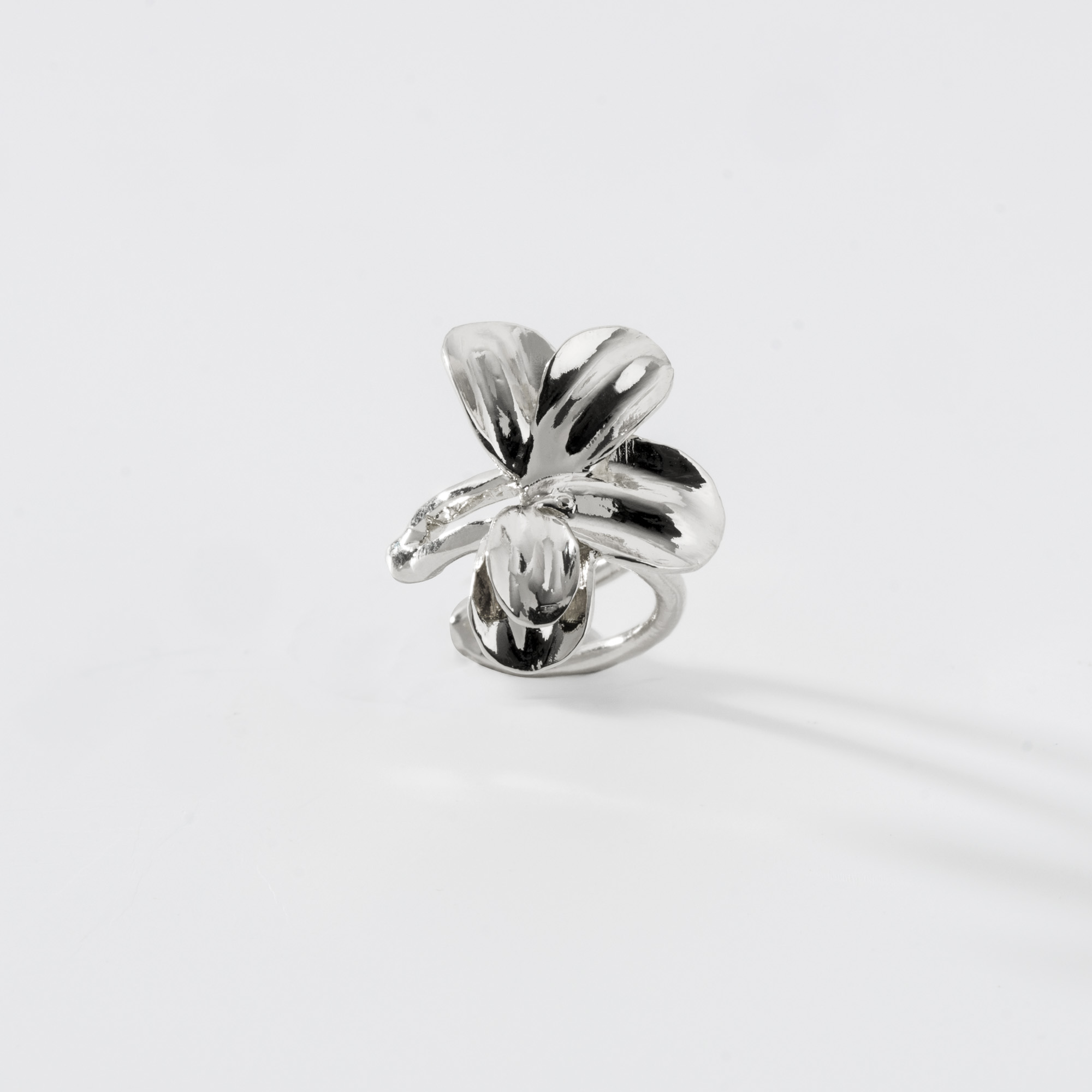 Piercing Aflorar - Imagem 2