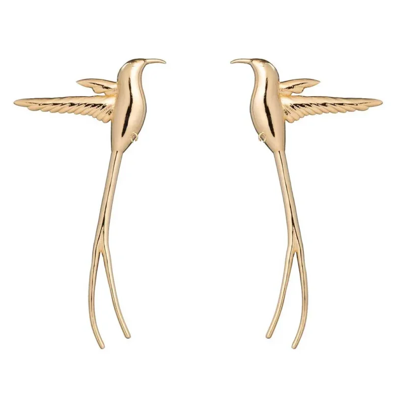Brinco Doctor Bird